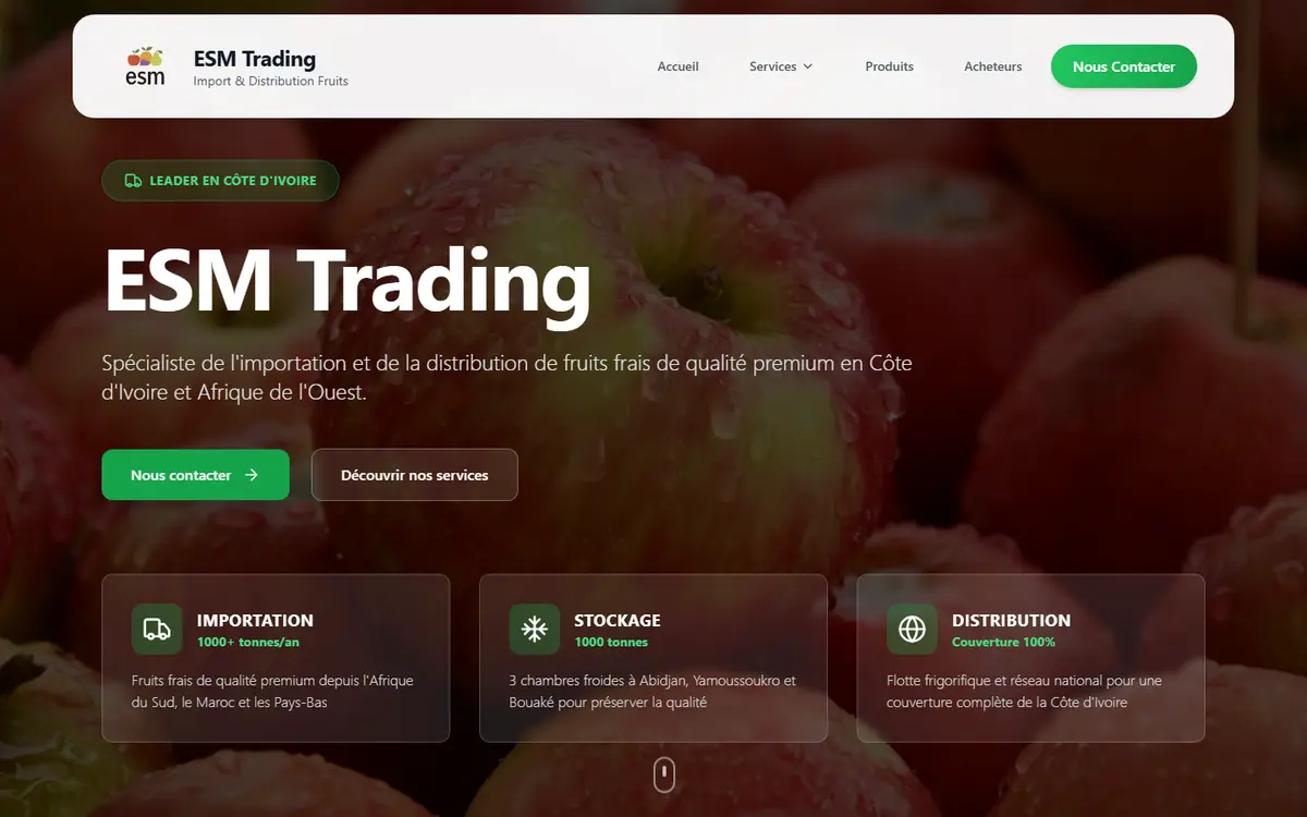 Site web ESM Importation - Commerce / Import